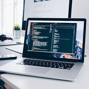 落日飞凫趁远樯代表是什么生肖,精选落实解释